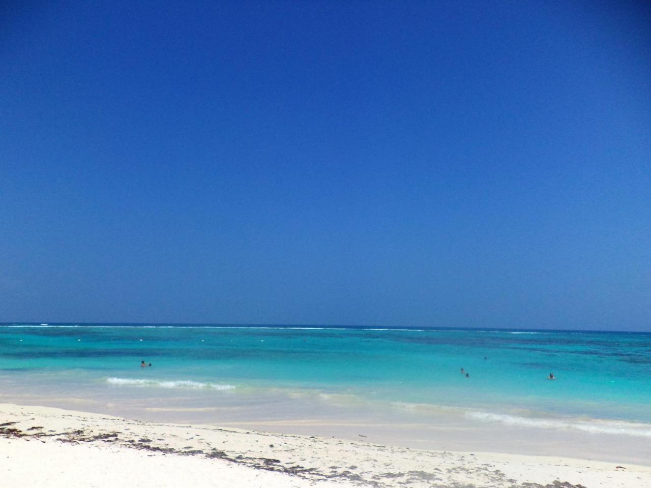 Rentalife Playa Playa del Carmen Eksteriør bilde