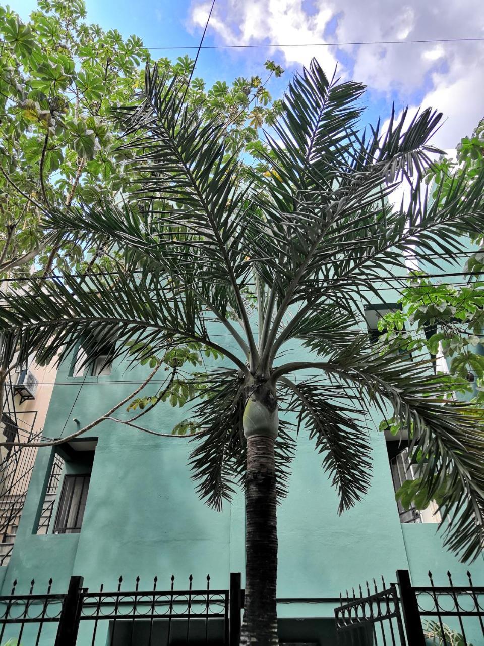 Rentalife Playa Playa del Carmen Eksteriør bilde